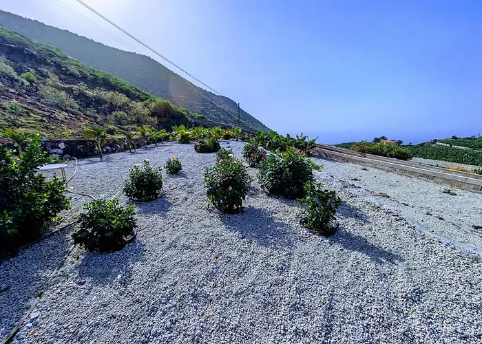 My Pride Sea View - Adults Only *